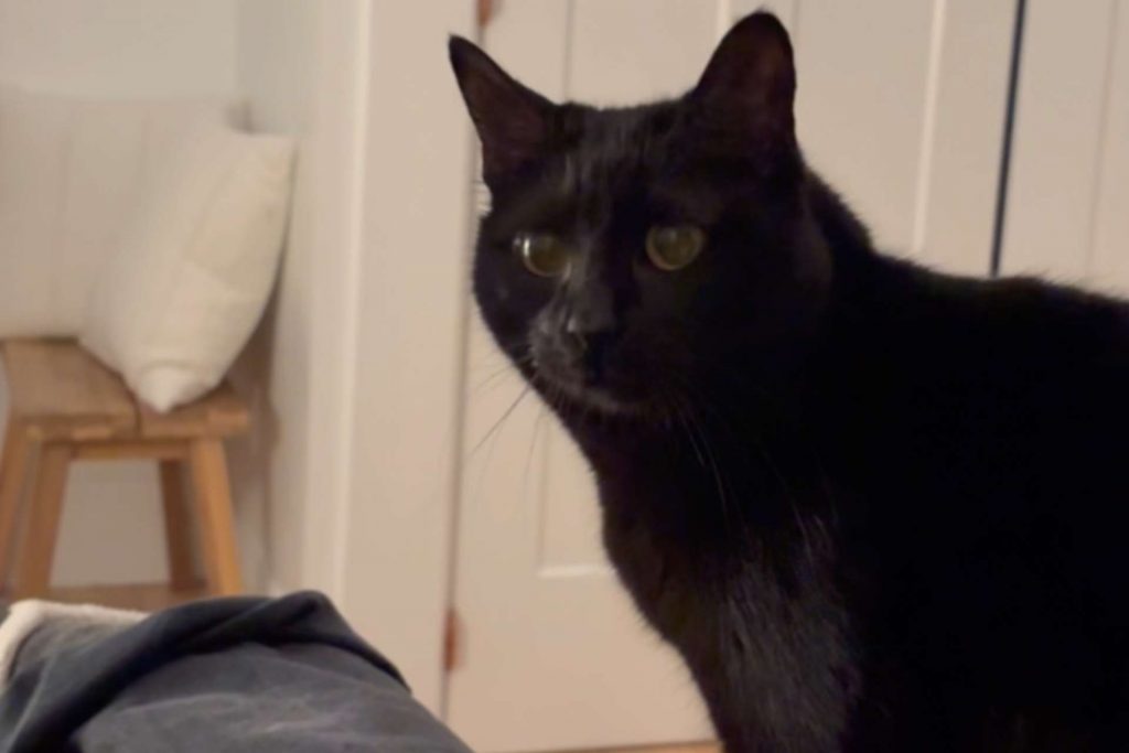 Lefty and A/C Unit Fall in Love